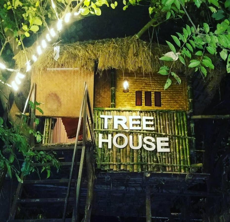 Holistic Stay Eco-Resort & Ayurvedic Retreat Paithalmala Exterior photo